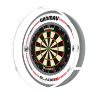 Plasma Ice Dartbord Verlichting